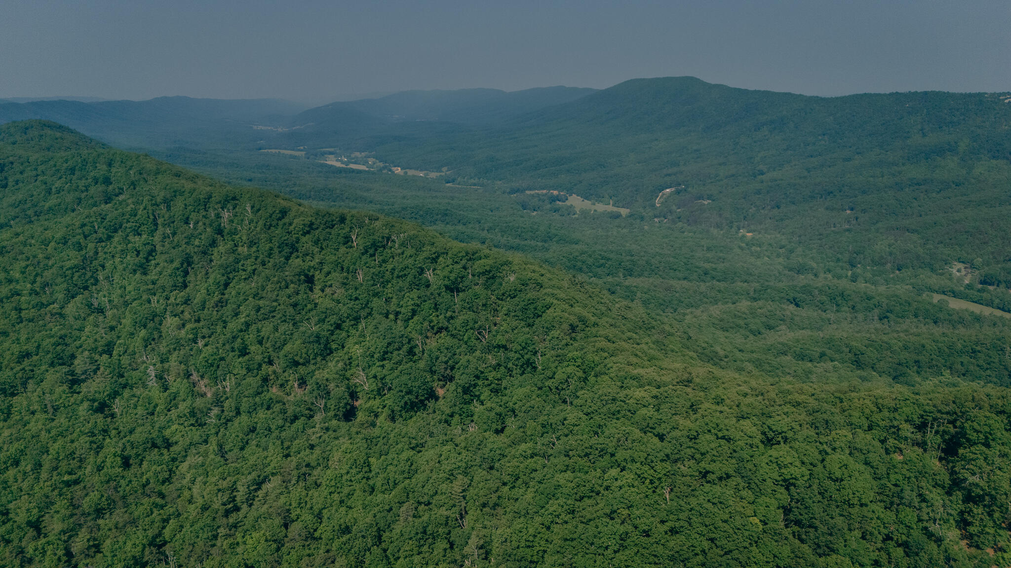 0 Robinson Tract Road Pulaski, VA 24301 - Photo 12 of 37 Tolley pic 23