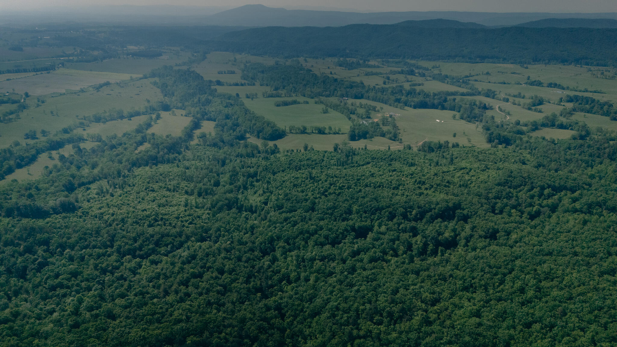0 Robinson Tract Road Pulaski, VA 24301 - Photo 13 of 37 Tolley pic 24