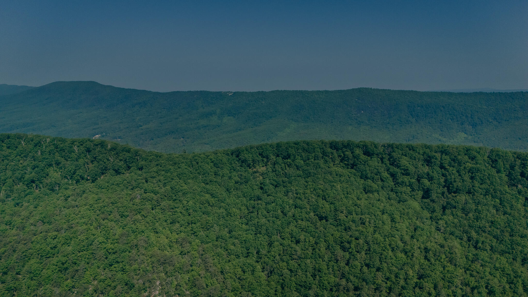 0 Robinson Tract Road Pulaski, VA 24301 - Photo 14 of 37 Tolley pic 26