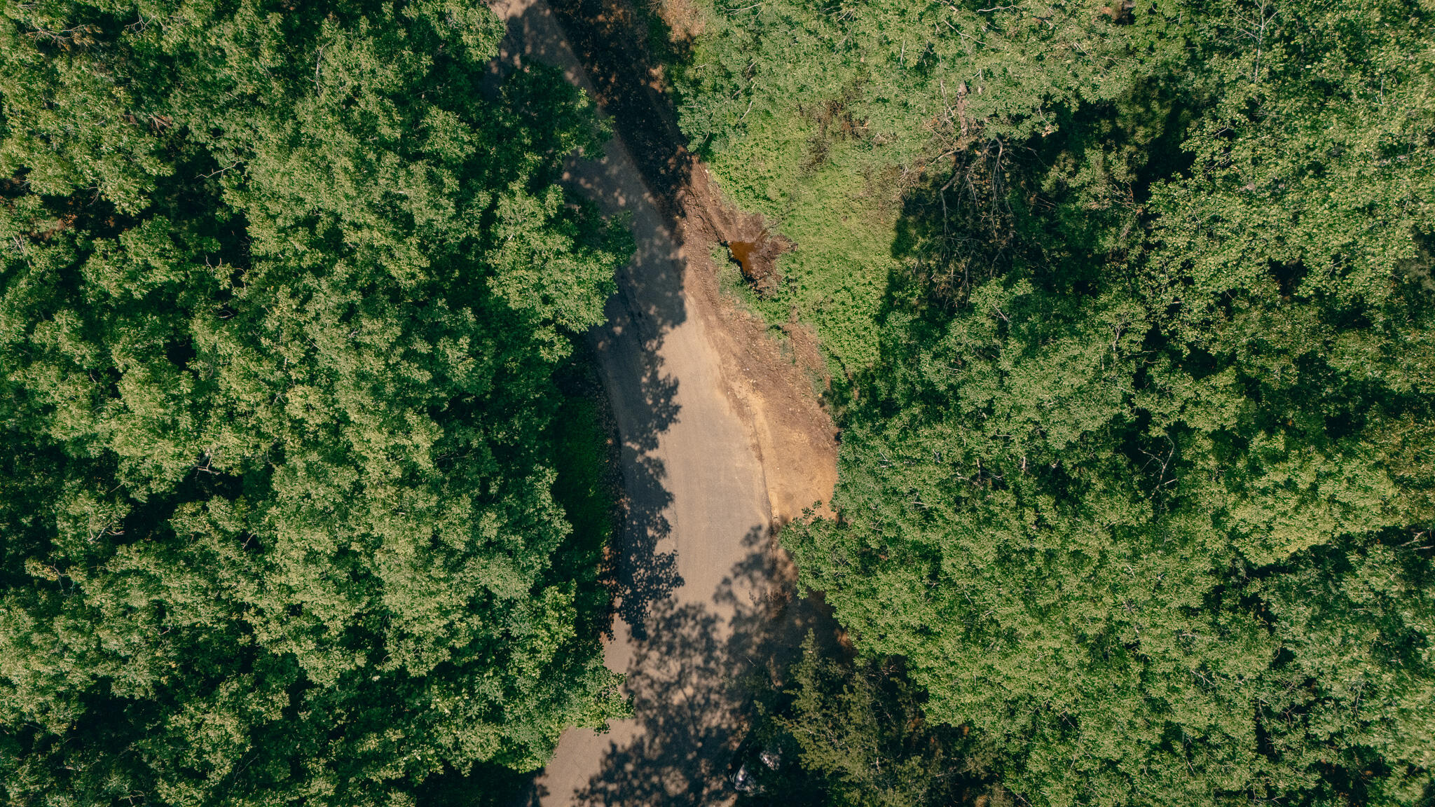 0 Robinson Tract Road Pulaski, VA 24301 - Photo 16 of 37 Tolley pic 31