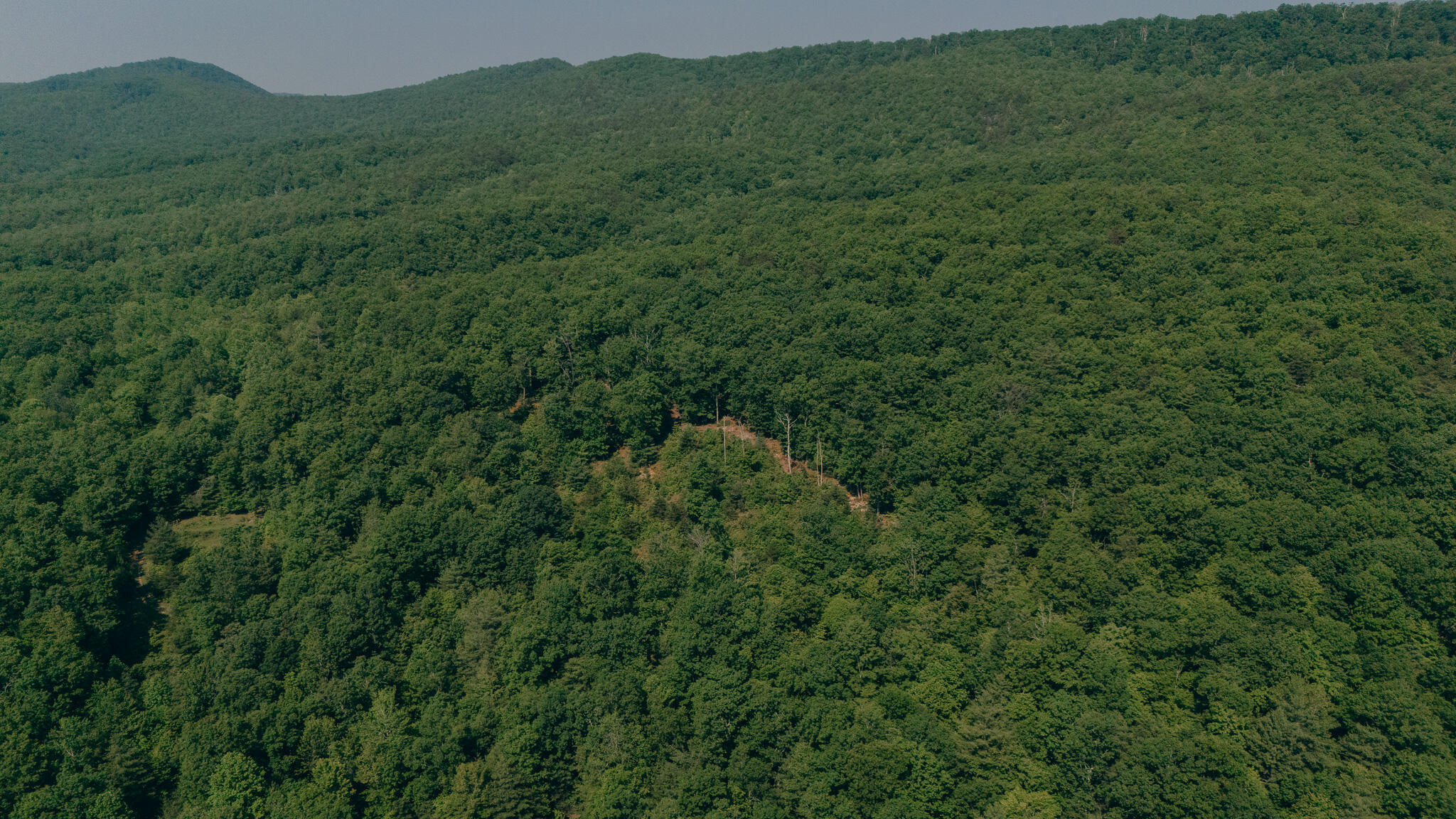 0 Robinson Tract Road Pulaski, VA 24301 - Photo 17 of 37 Tolley pic 28