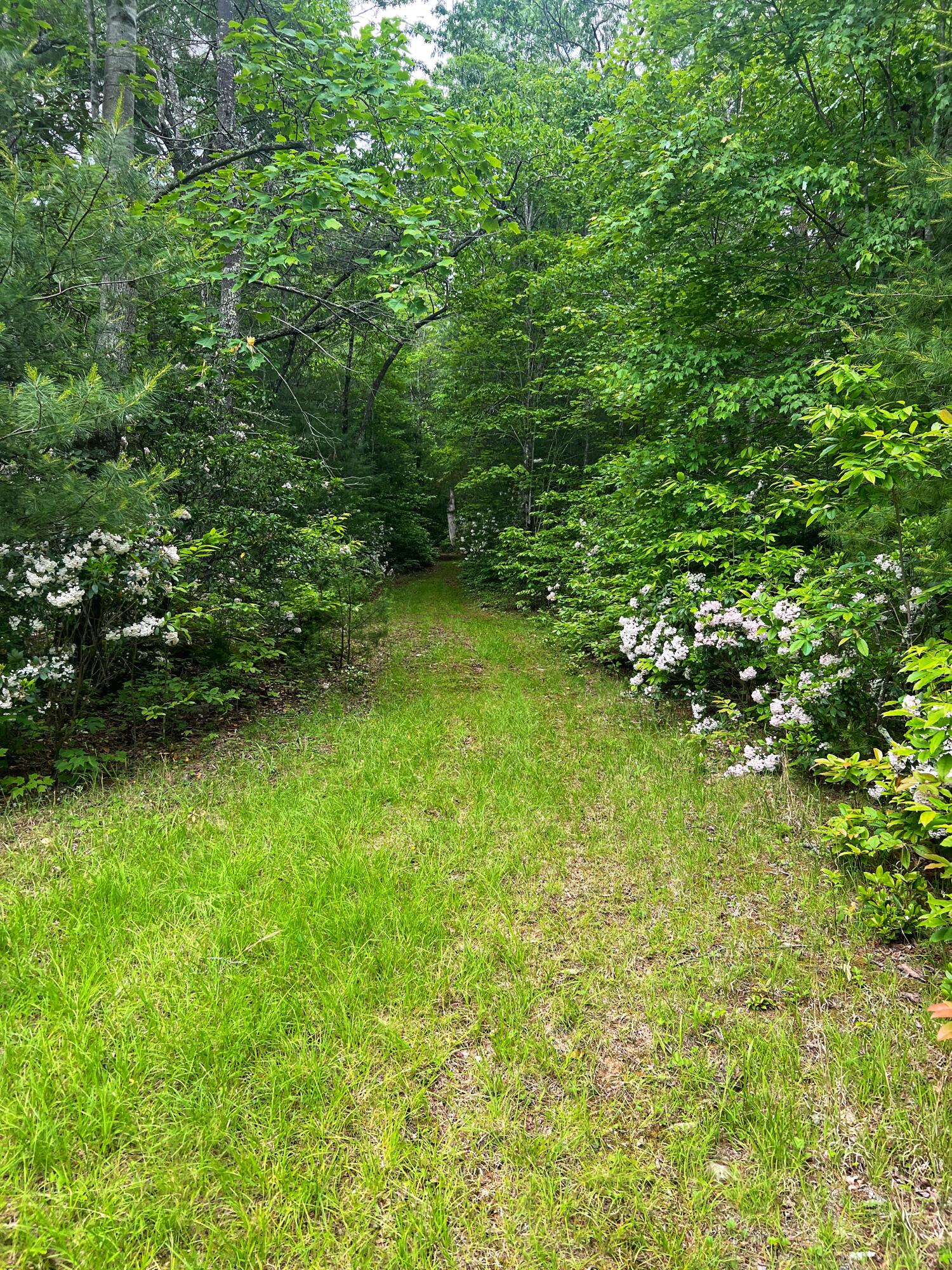 0 Robinson Tract Road Pulaski, VA 24301 - Photo 36 of 37 Tolley pic H