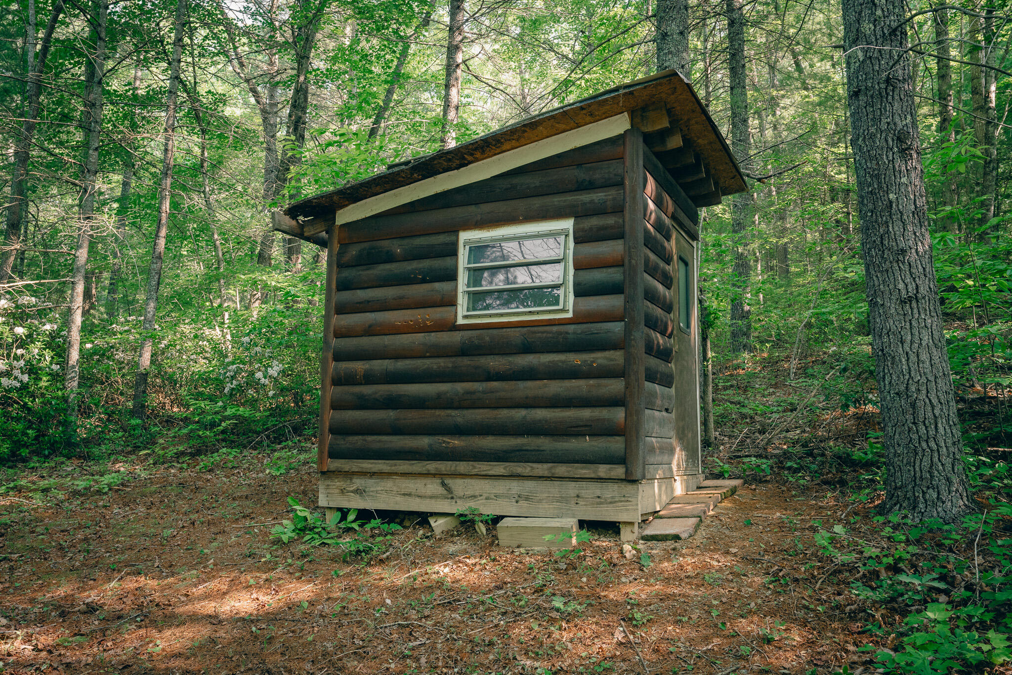 0 Robinson Tract Road Pulaski, VA 24301 - Photo 7 of 37 Tolley pic 7