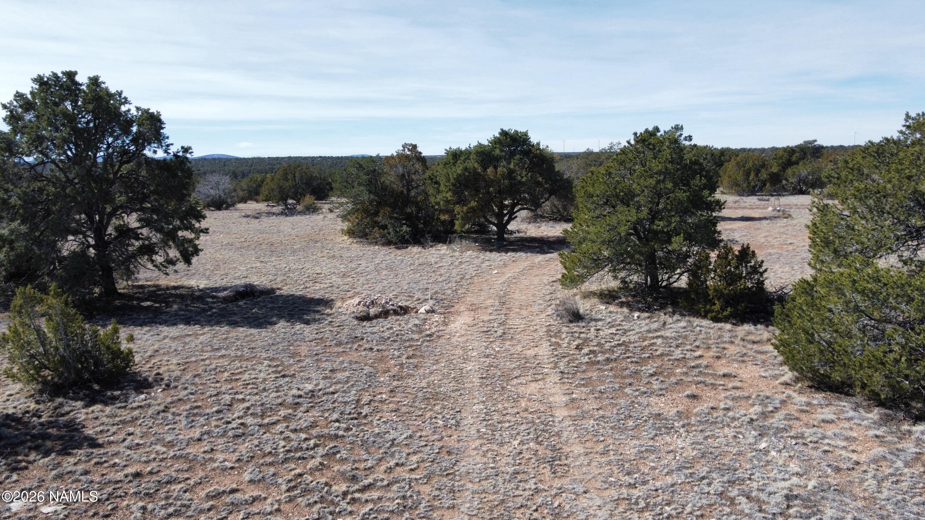 13537 Bly Station Road, Unit A Williams, AZ 86046 - Photo 8 of 13 a view of a yard with plants and trees