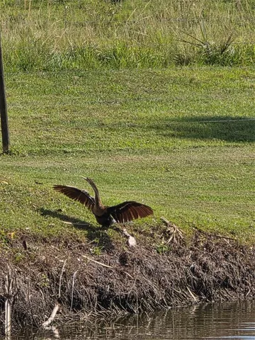 $99,500 | 5274 Southeast 67th Avenue, Okeechobee, FL 34974