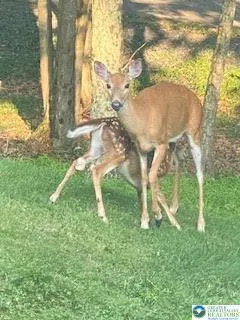 a view of outdoor space and yard