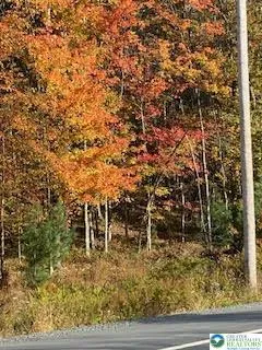 a view of house with trees in the background