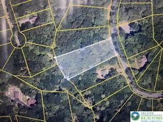 a utility room with lots of potted plants and wooden floor