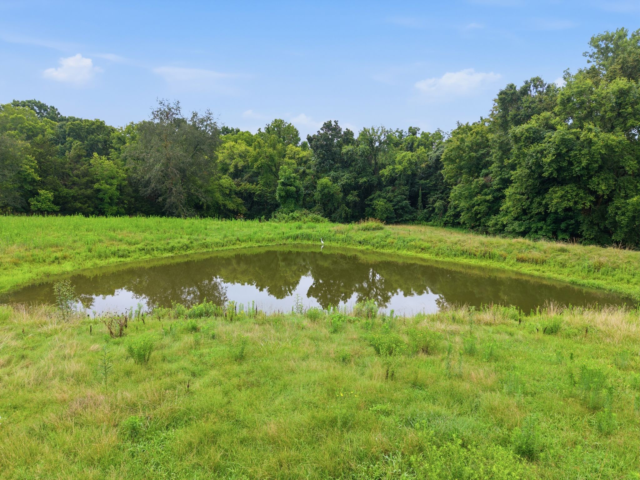 6597 Burkitt Road Antioch, TN 37013 - Photo 44 of 48 Gallery Image 44