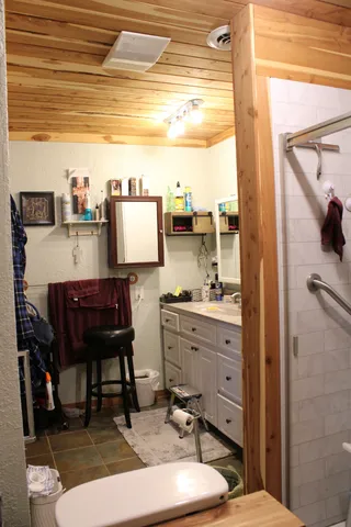 a view of a yard with a large trees