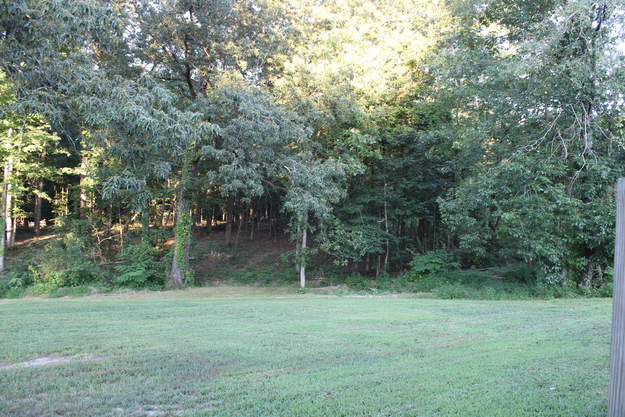 529 Napier Road Lawrenceburg, TN 38464 - Photo 4 of 60