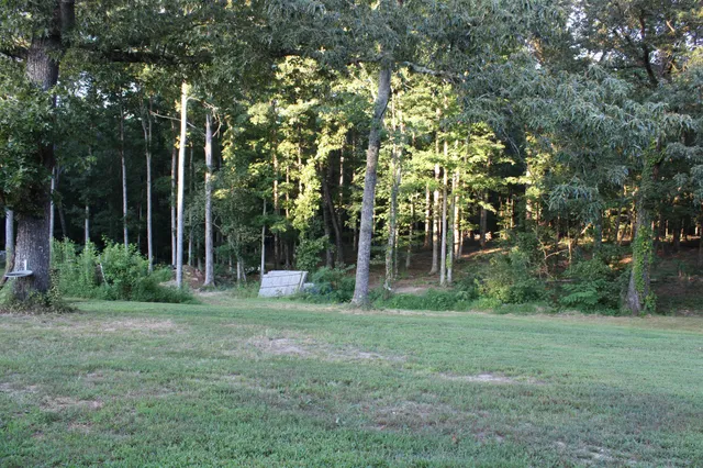 a bedroom with a bed and a mirror on the dresser