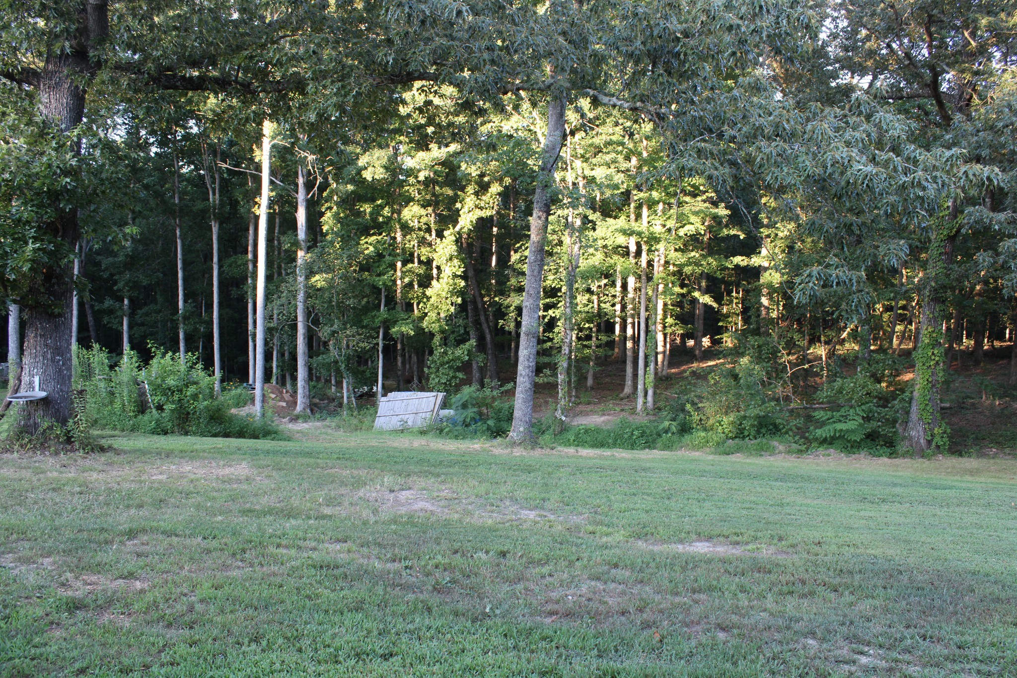 529 Napier Road Lawrenceburg, TN 38464 - Photo 5 of 60