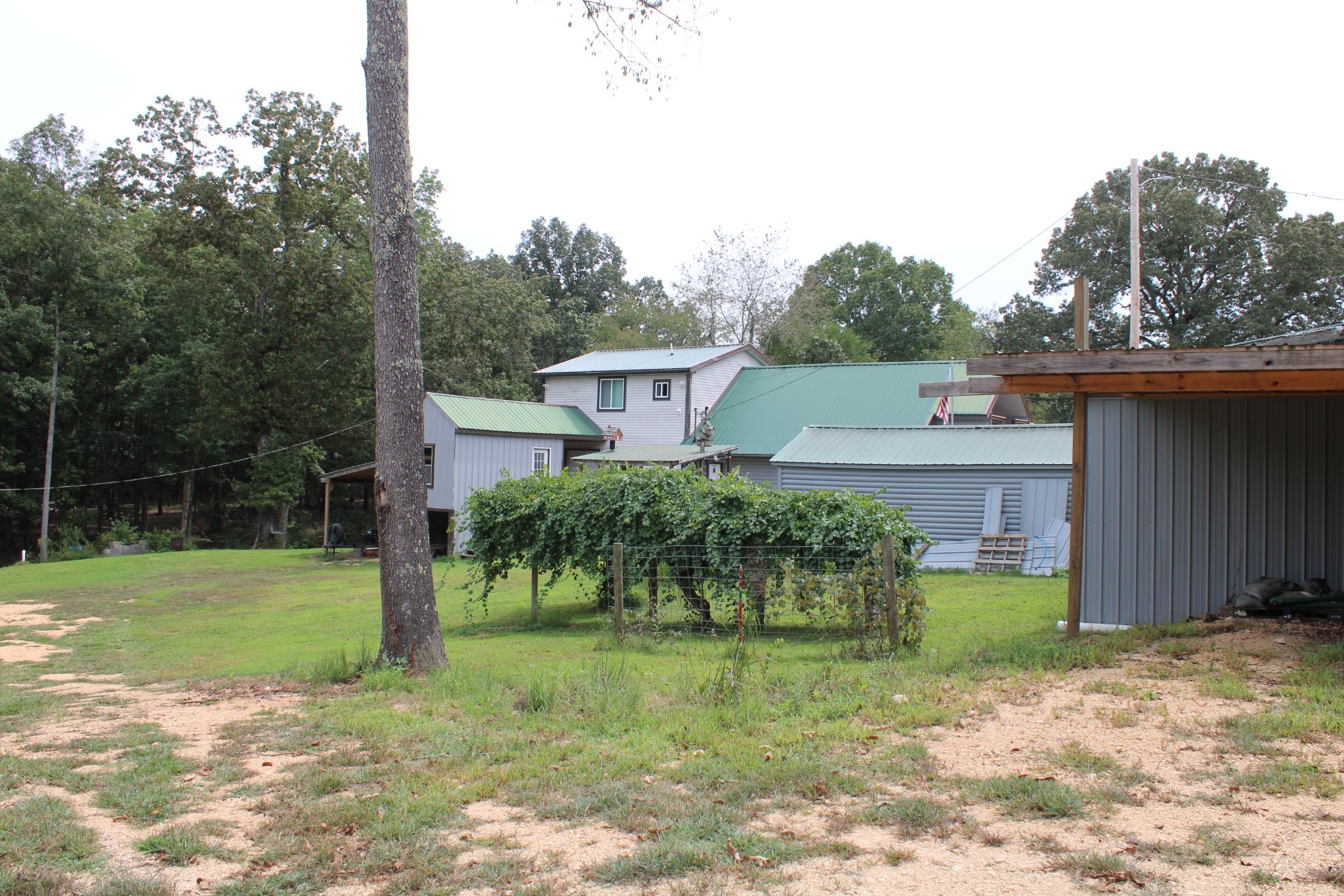 529 Napier Road Lawrenceburg, TN 38464 - Photo 52 of 60