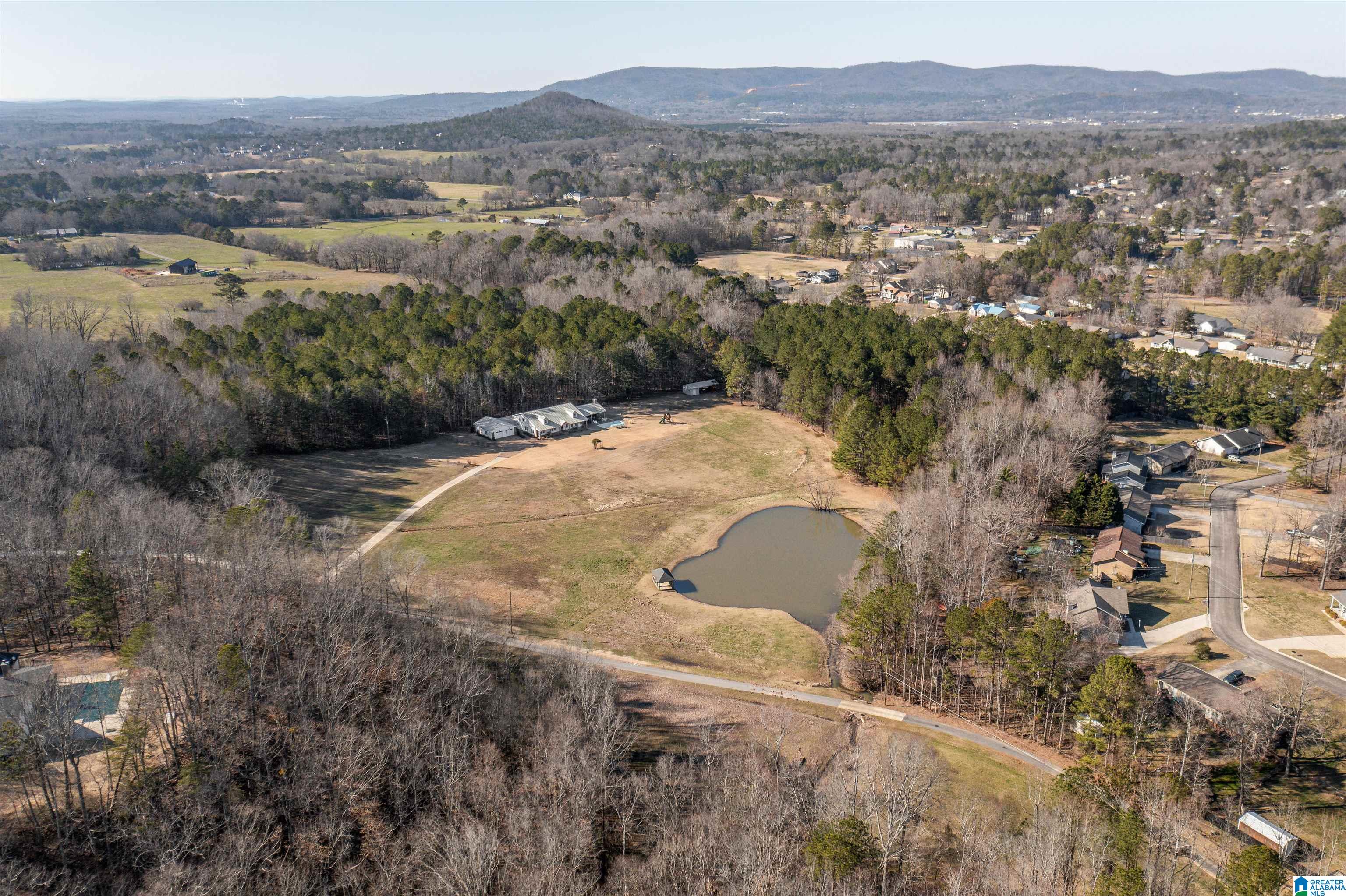 40 Deer Cove Road Oxford, AL 36203 - Photo 18 of 69