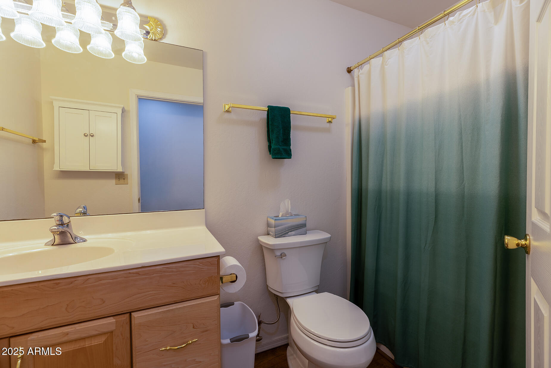 2358 Rainbow Lane Pinetop, AZ 85935 - Photo 16 of 50 a bathroom with a sink a toilet a mirror and shower curtain