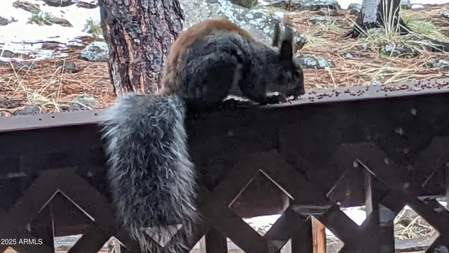 a view of a lake with sitting area