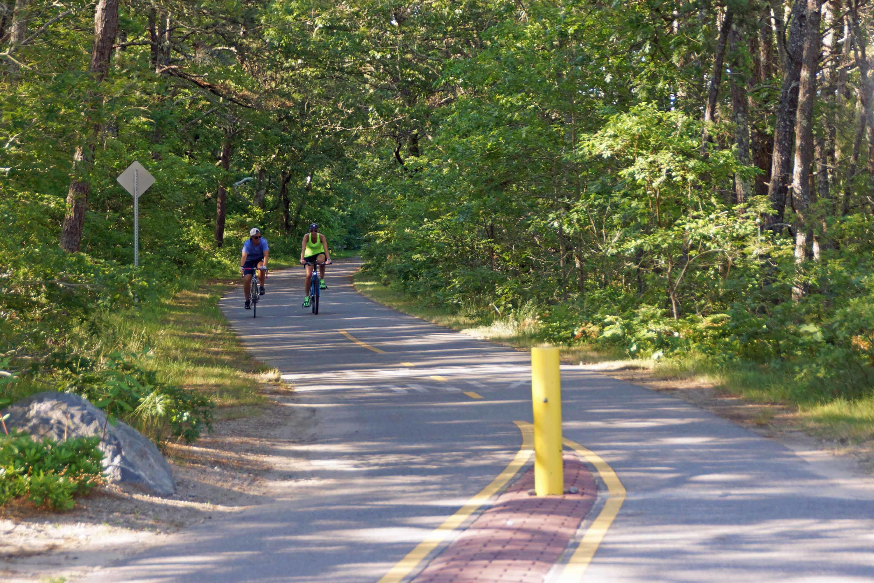 111 Azalea Drive Harwich, MA 02645 - Photo 24 of 26 a park view with bench and trees