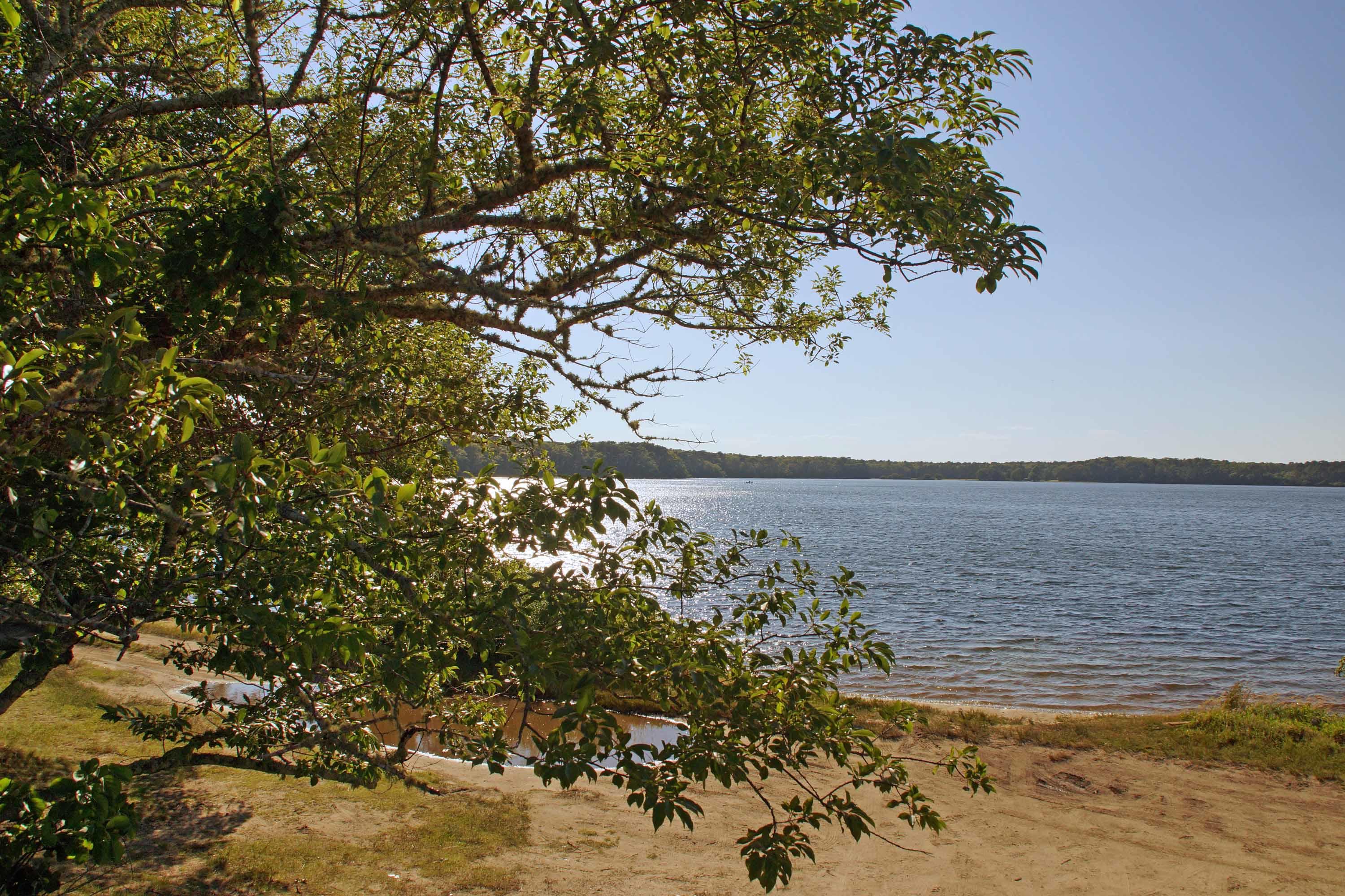 111 Azalea Drive Harwich, MA 02645 - Photo 25 of 26 a view of a lake with a tree