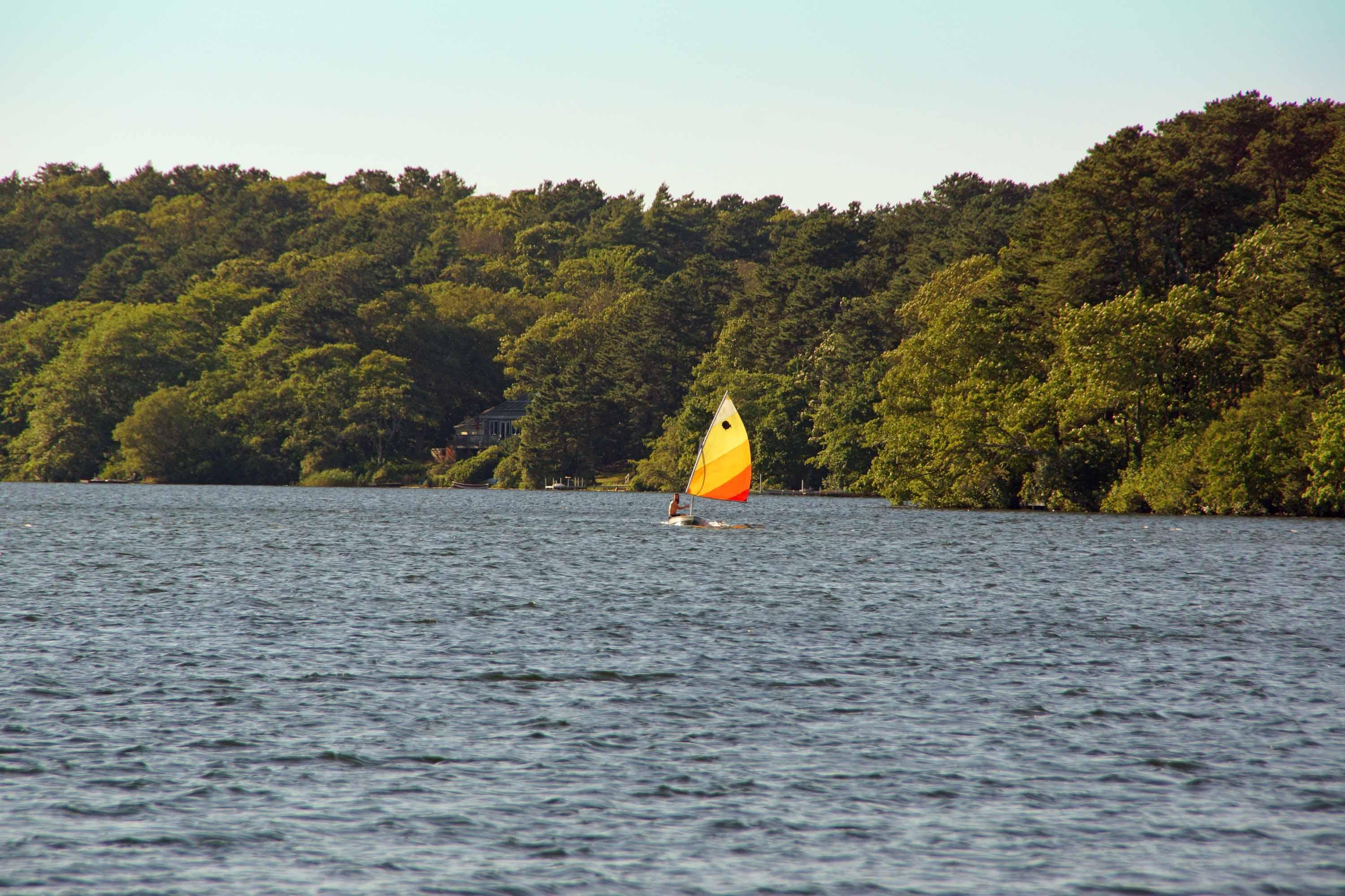 111 Azalea Drive Harwich, MA 02645 - Photo 26 of 26 a view of a dry yard