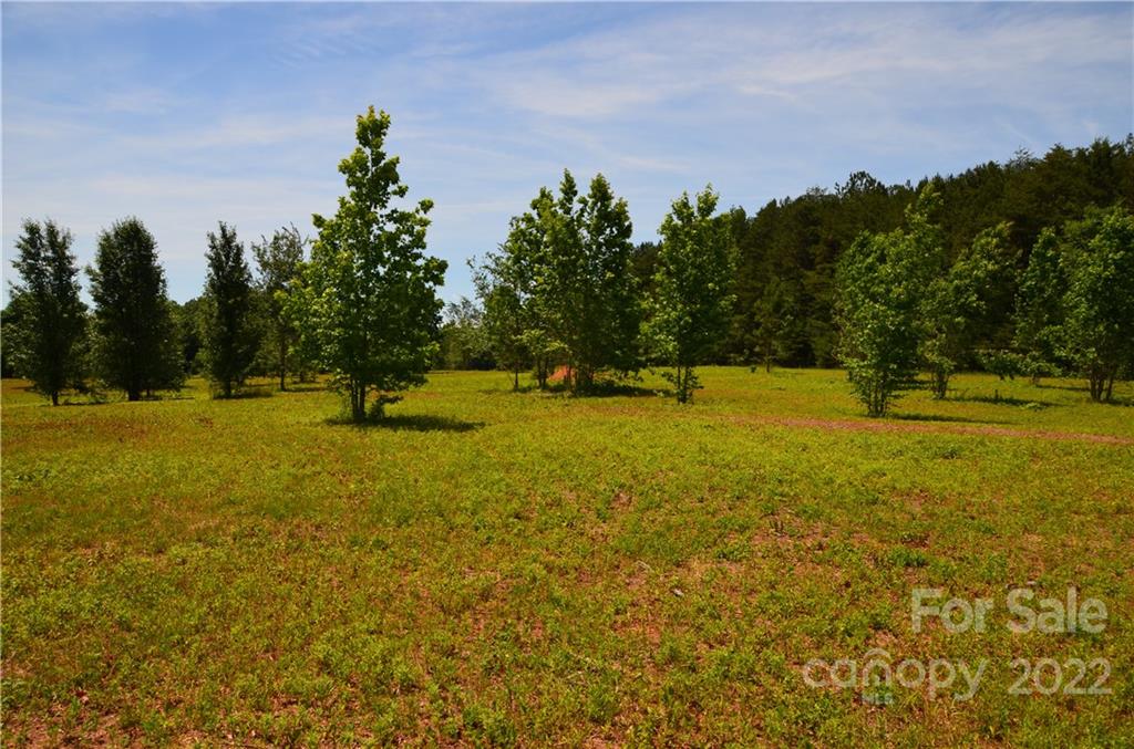 0 Honeycutt Road Troutman, NC 28166 - Photo 13 of 22 Gallery Image 13