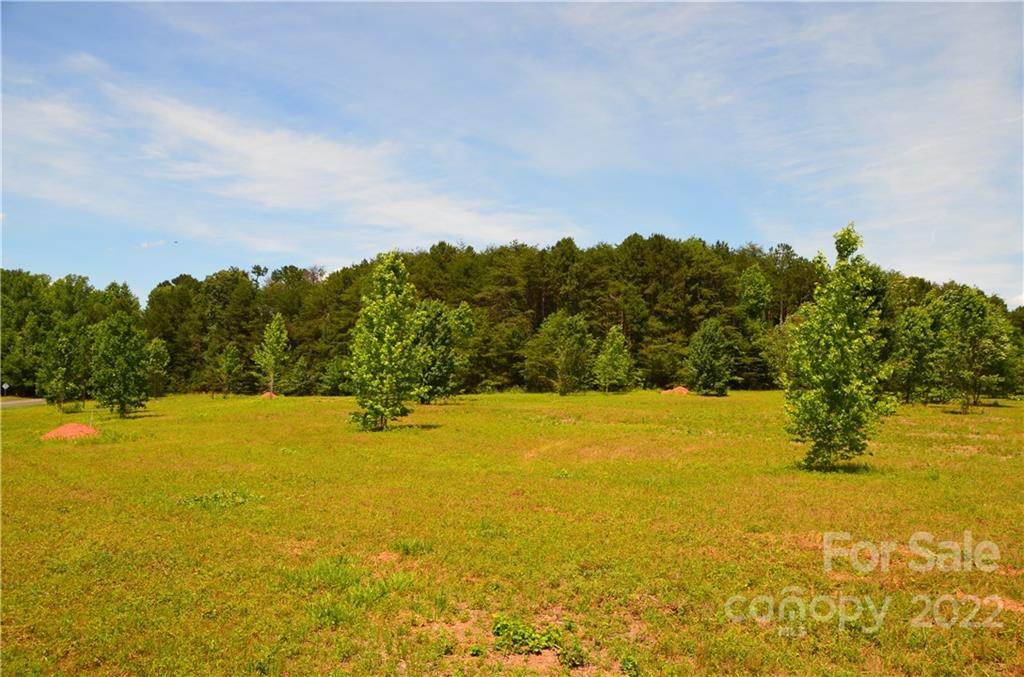 0 Honeycutt Road Troutman, NC 28166 - Photo 6 of 22 Gallery Image 6