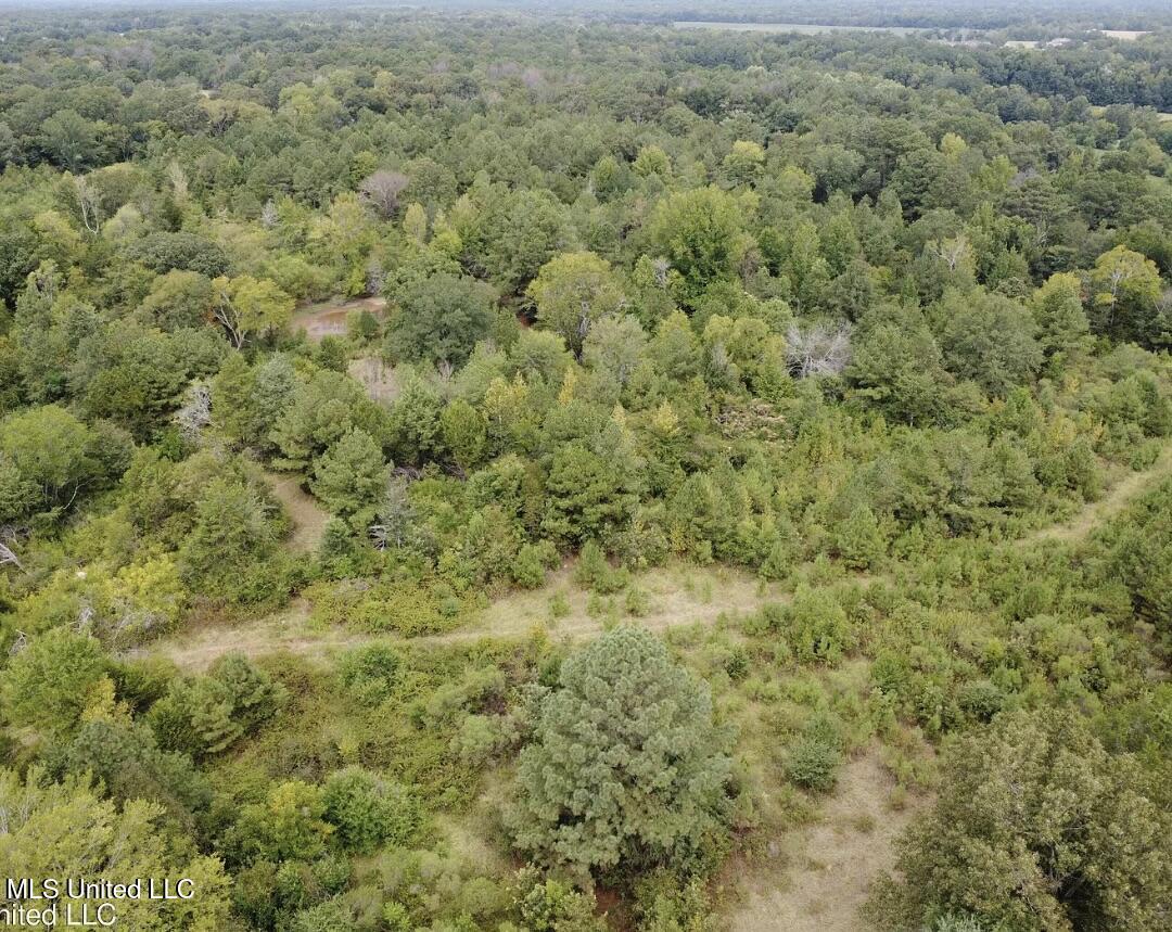 1 Robinson Road Canton, MS 39046 - Photo 3 of 3 27