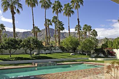 a view of a yard and palm trees