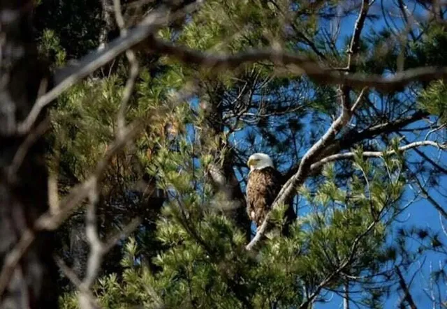 $425,000 | 3 Alexander Reed Road, Richmond, ME 04357