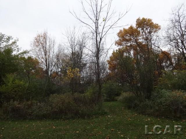 14685 Tracey Road Manchester, MI 48158 - Photo 58 of 62 31309042-57.JPG