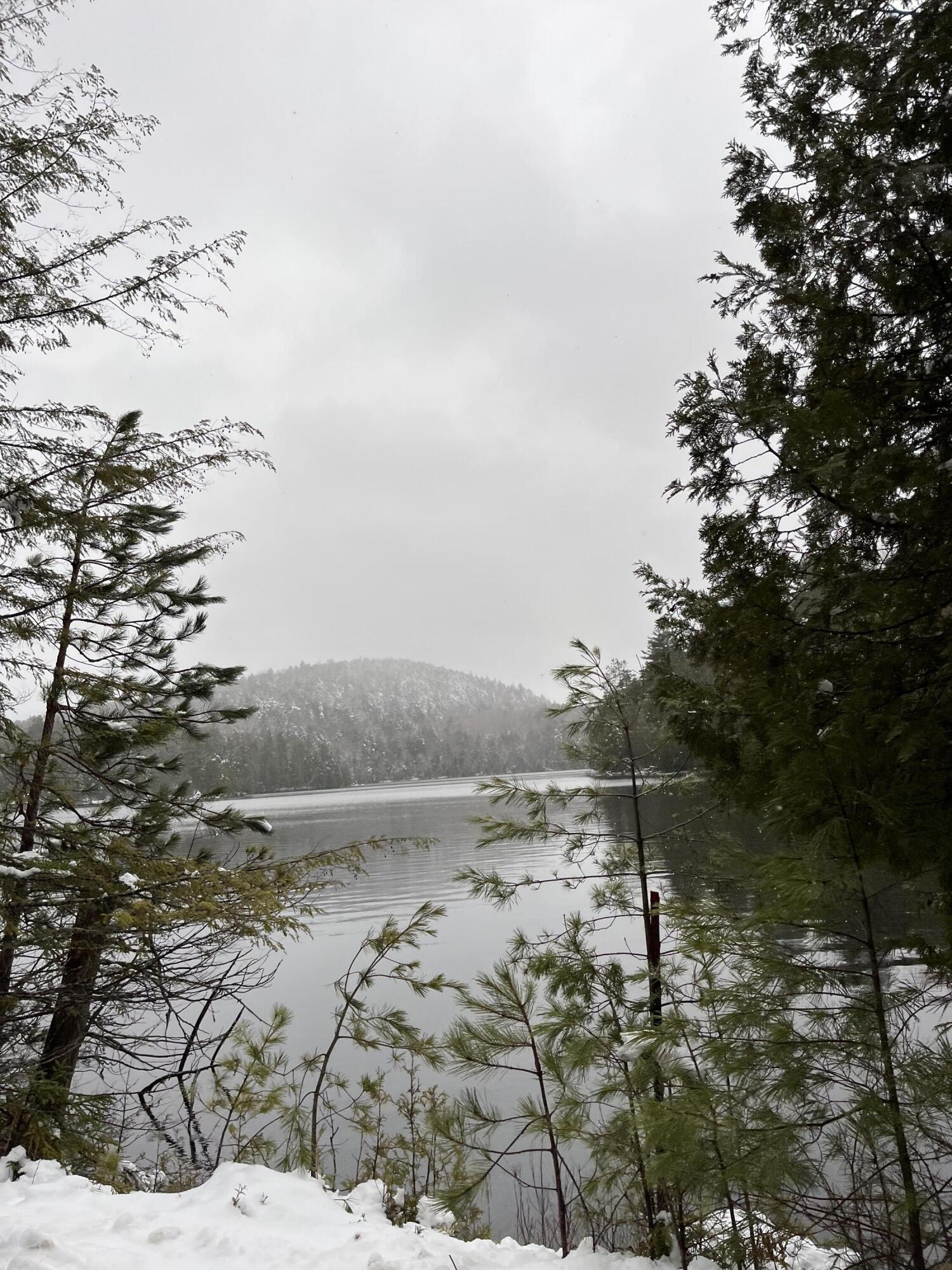787 Bartlett Carry Road Tupper Lake, NY 12986 - Photo 8 of 20 IMG_4918