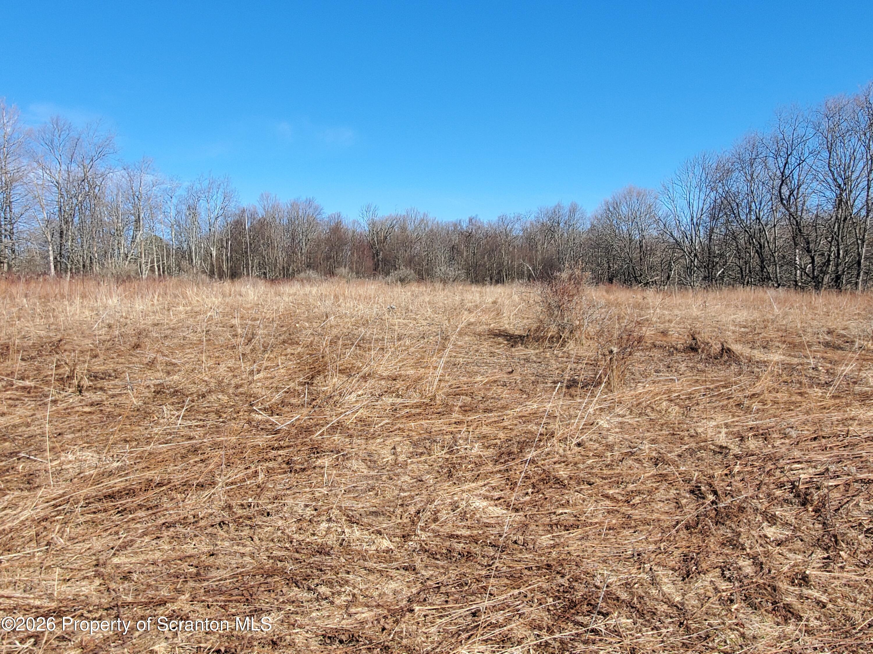 Field
