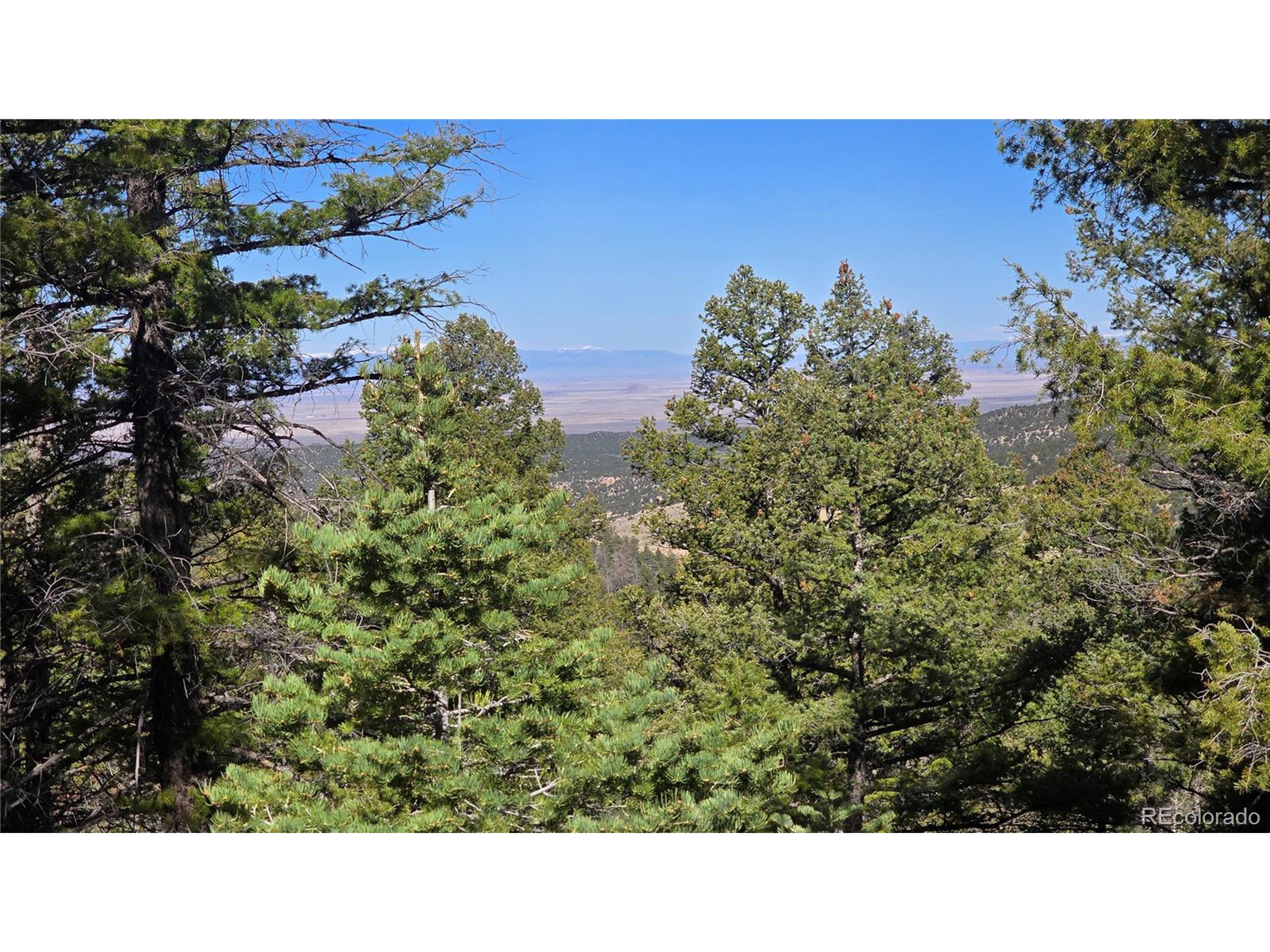 a black and white photo of a building