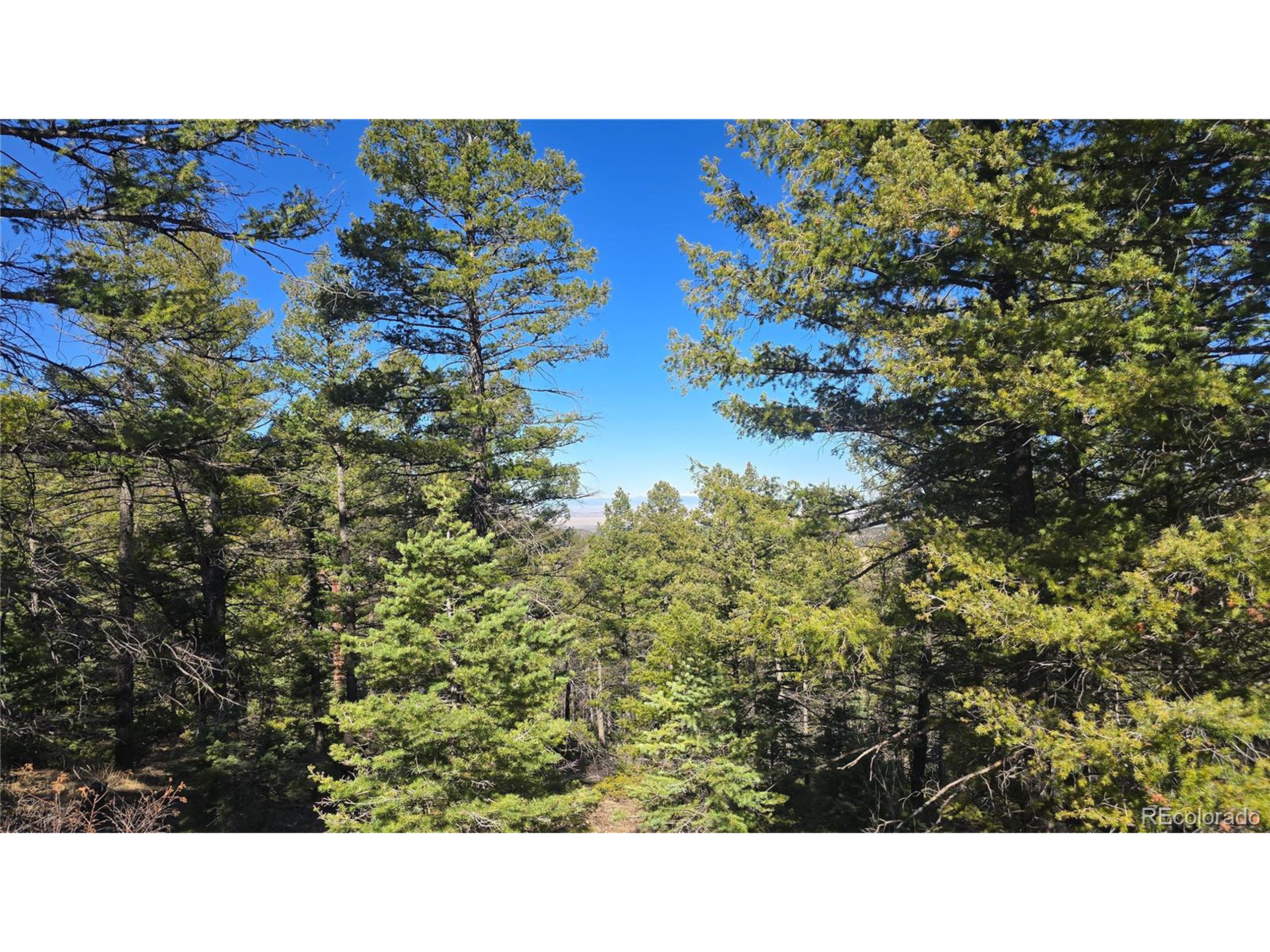6034 Wood Road San Luis, CO 81152 - Photo 11 of 12 a black and white photo of a building