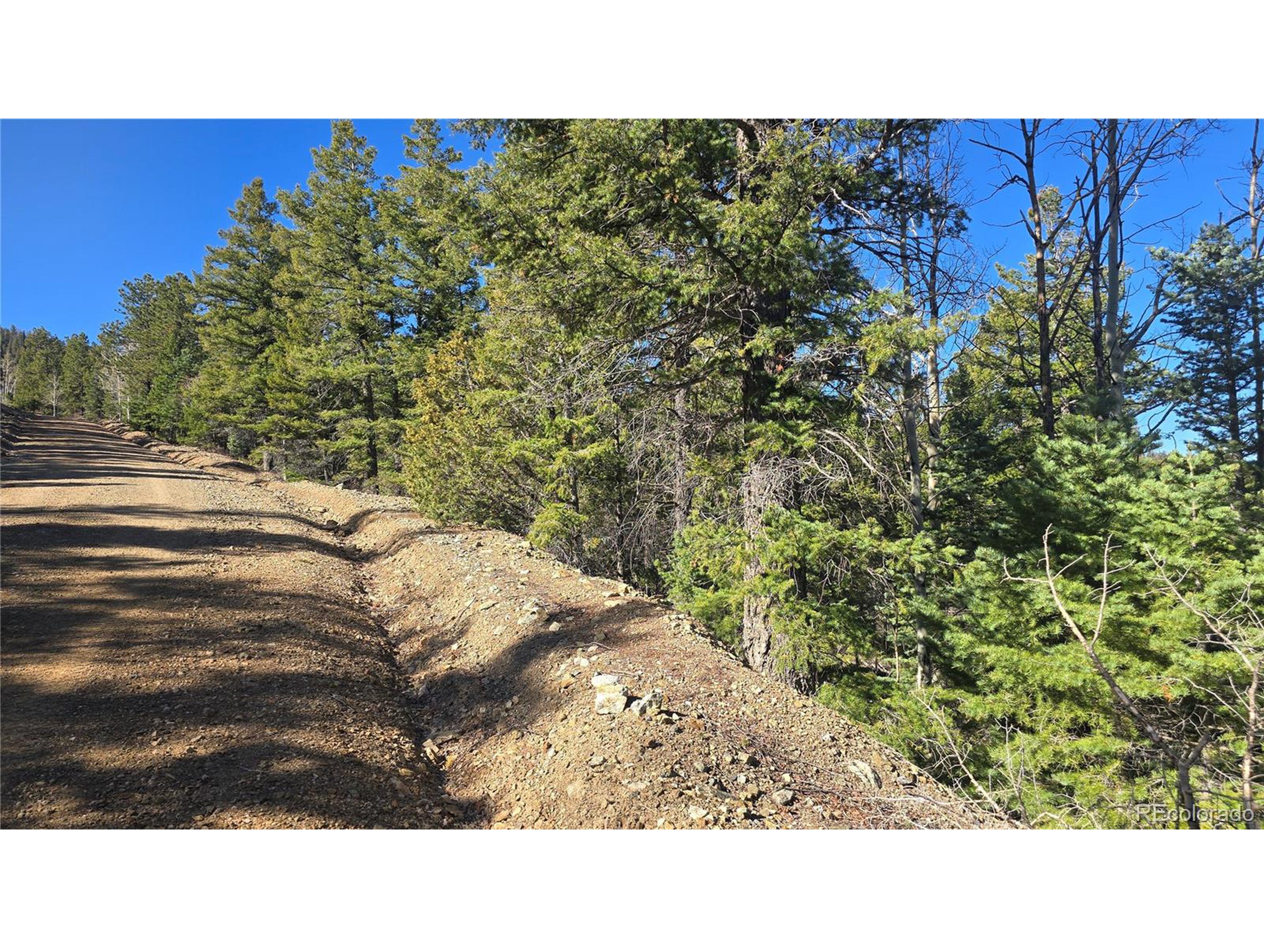 6034 Wood Road San Luis, CO 81152 - Photo 12 of 12 a picture of a bench in a garden