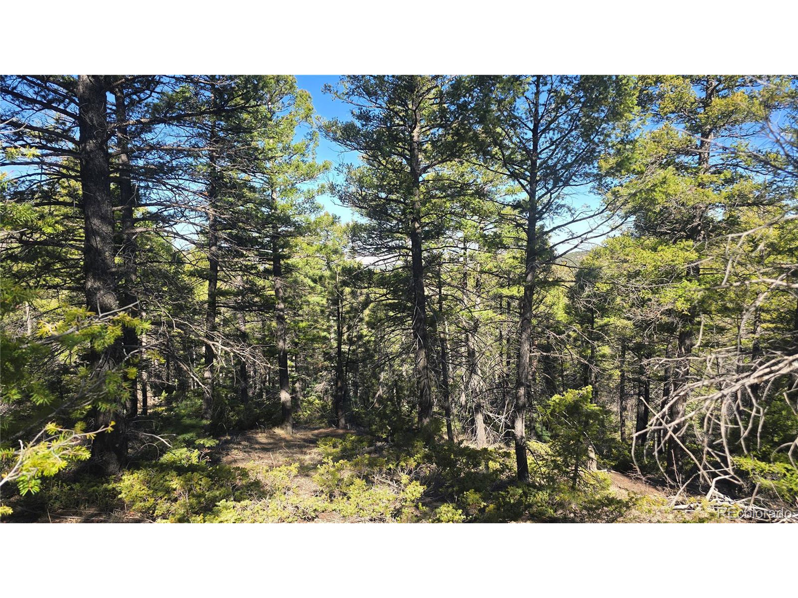 6034 Wood Road San Luis, CO 81152 - Photo 2 of 12 a black and white photo of a house