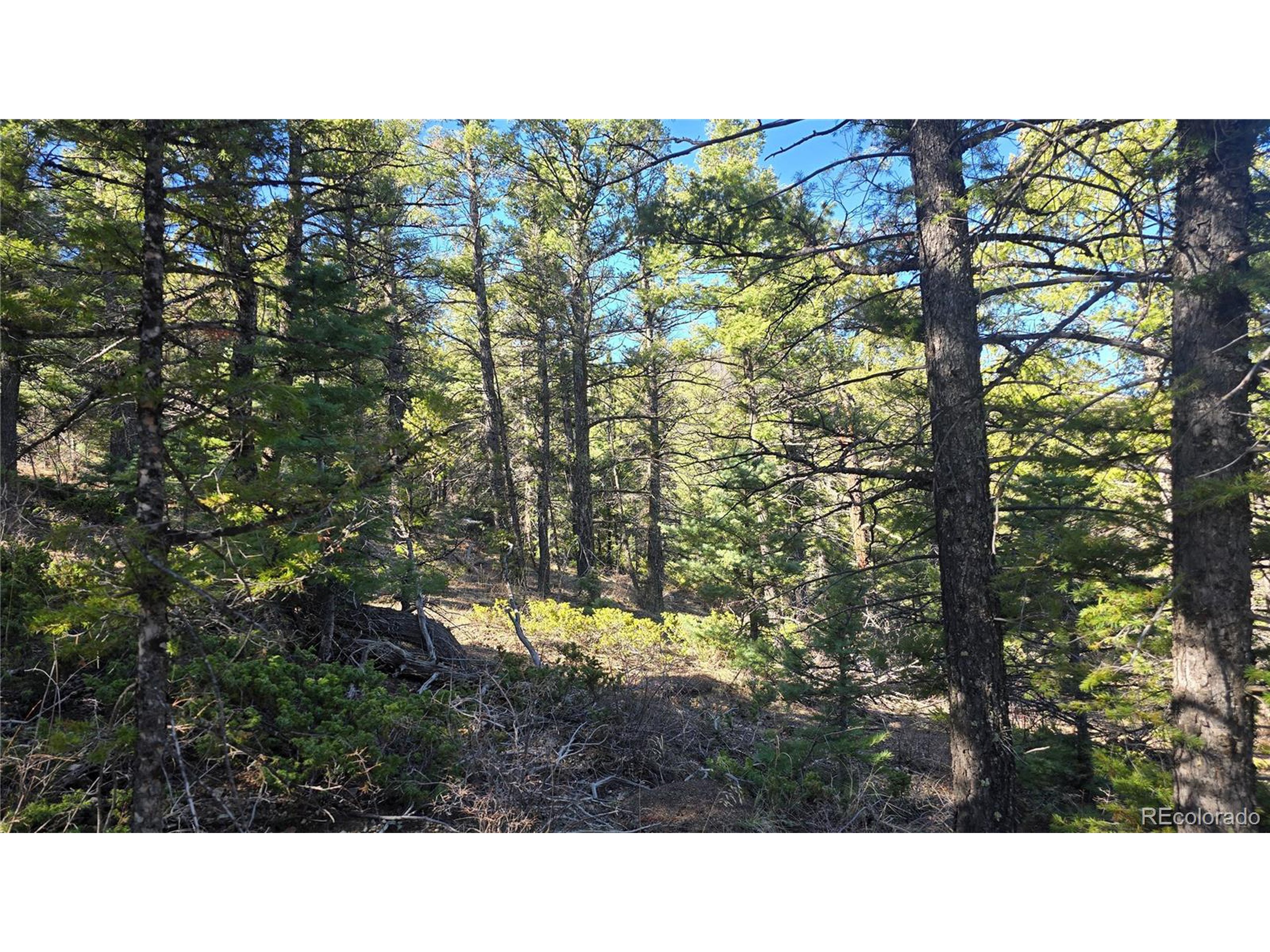 6034 Wood Road San Luis, CO 81152 - Photo 3 of 12 a open area