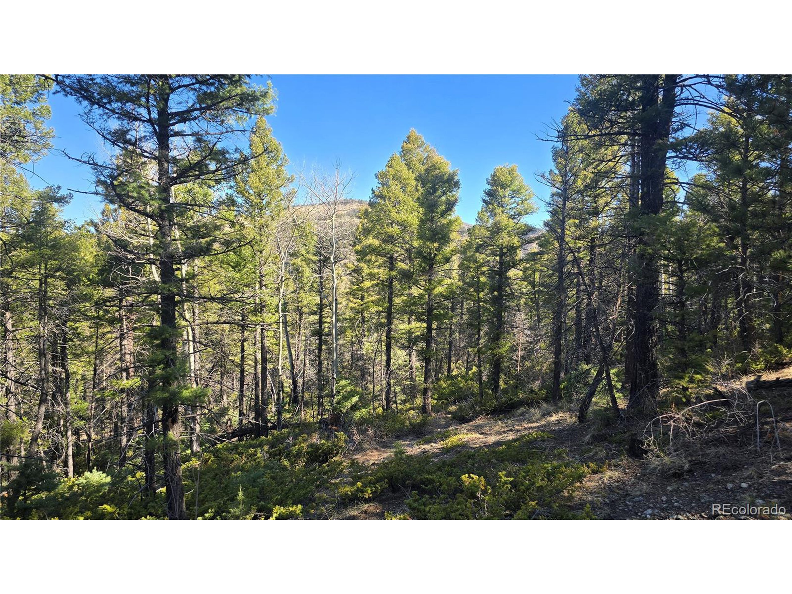 6034 Wood Road San Luis, CO 81152 - Photo 4 of 12 a black and white photo of a building