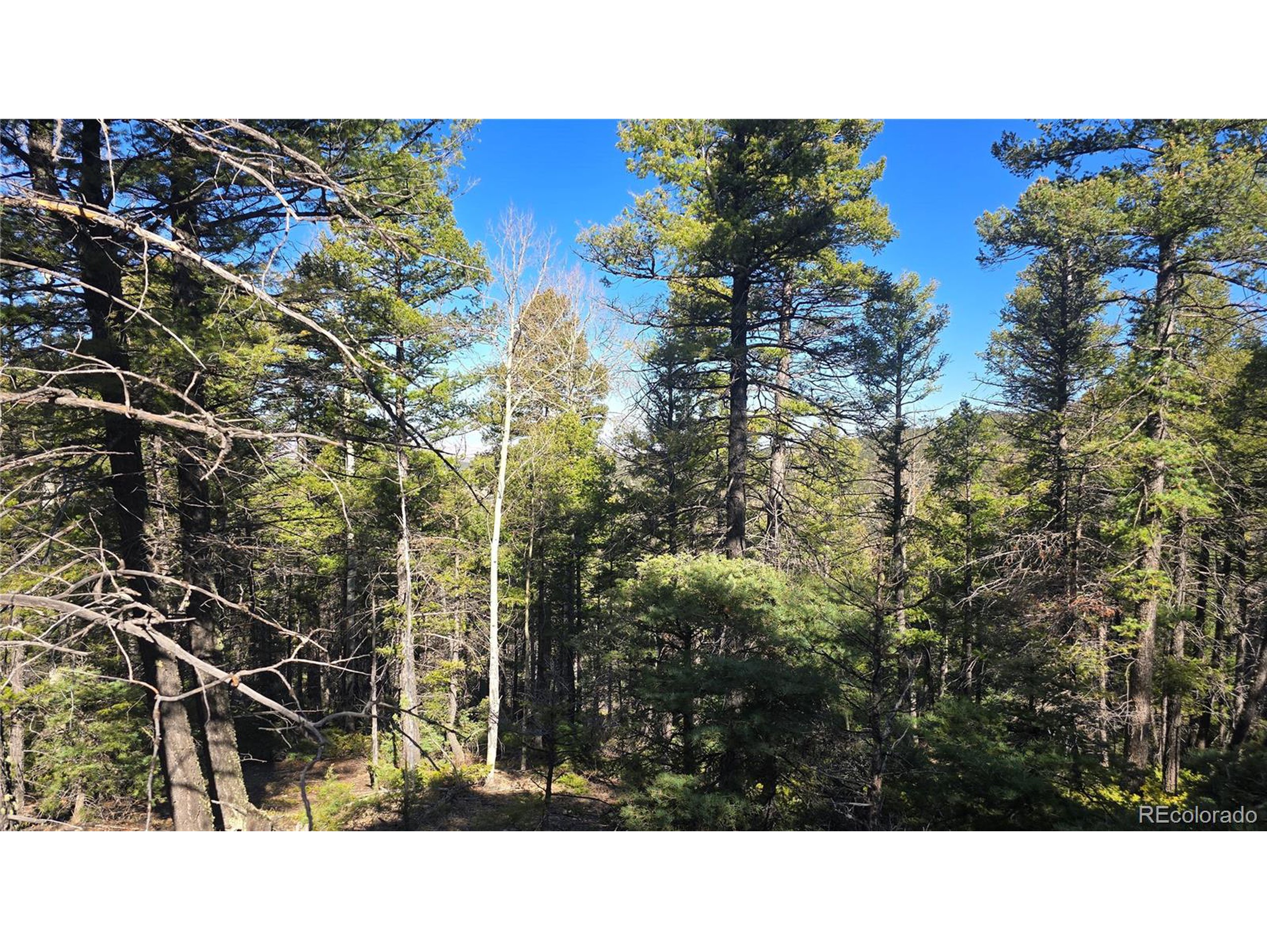6034 Wood Road San Luis, CO 81152 - Photo 5 of 12 a black and white photo of a building