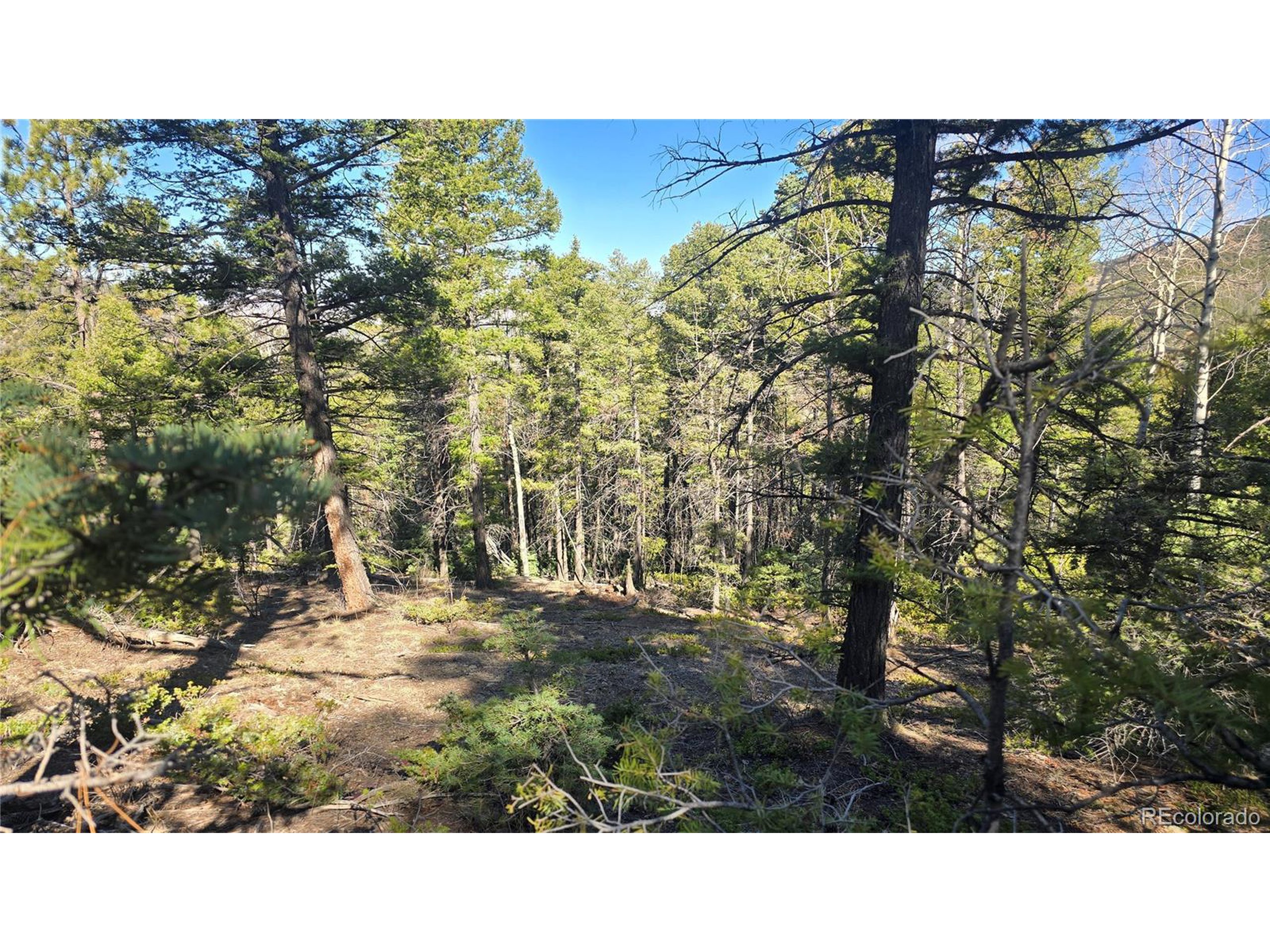6034 Wood Road San Luis, CO 81152 - Photo 6 of 12 a black and white photo of a building