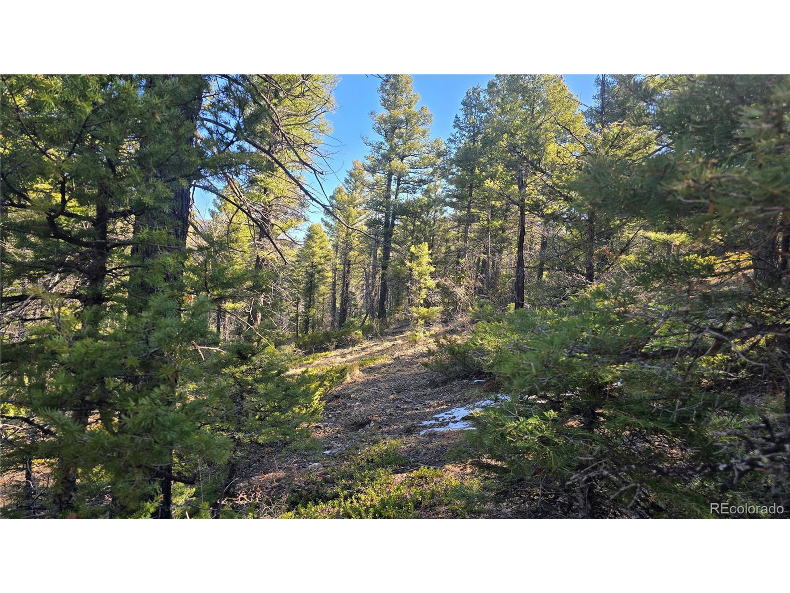 6034 Wood Road San Luis, CO 81152 - Photo 7 of 12 a black and white photo of a house
