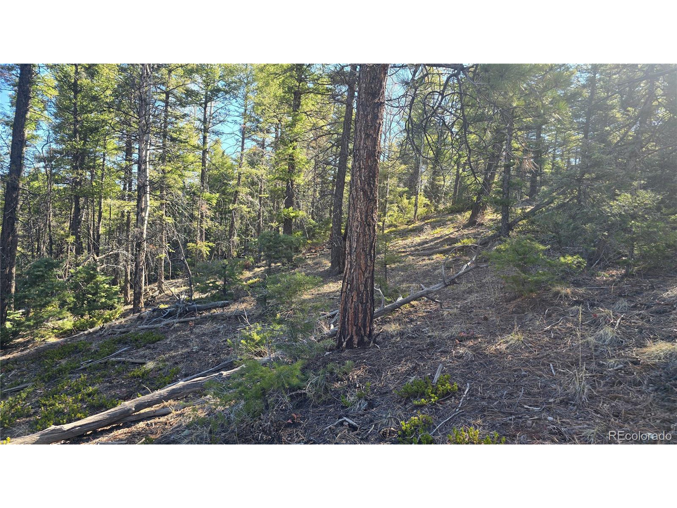 6034 Wood Road San Luis, CO 81152 - Photo 8 of 12 a black and white photo of a house