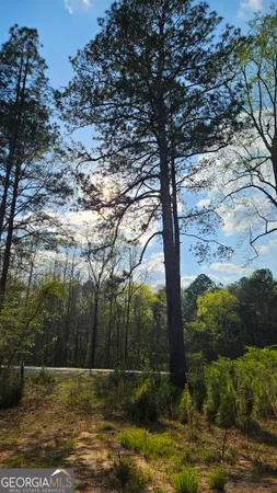 $959,330 | 0 Hwy 15 Greensboro Ga 30642, Greensboro, GA 30642