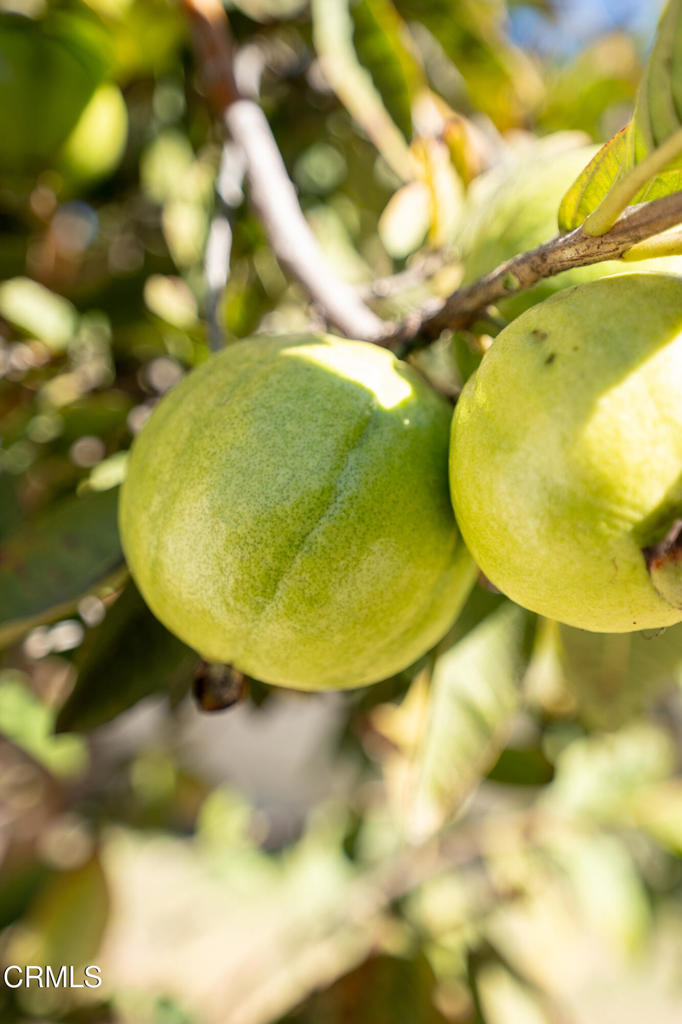 1511 Fathom Drive Oxnard, CA 93035 - Photo 29 of 29 a view of a swimming pool