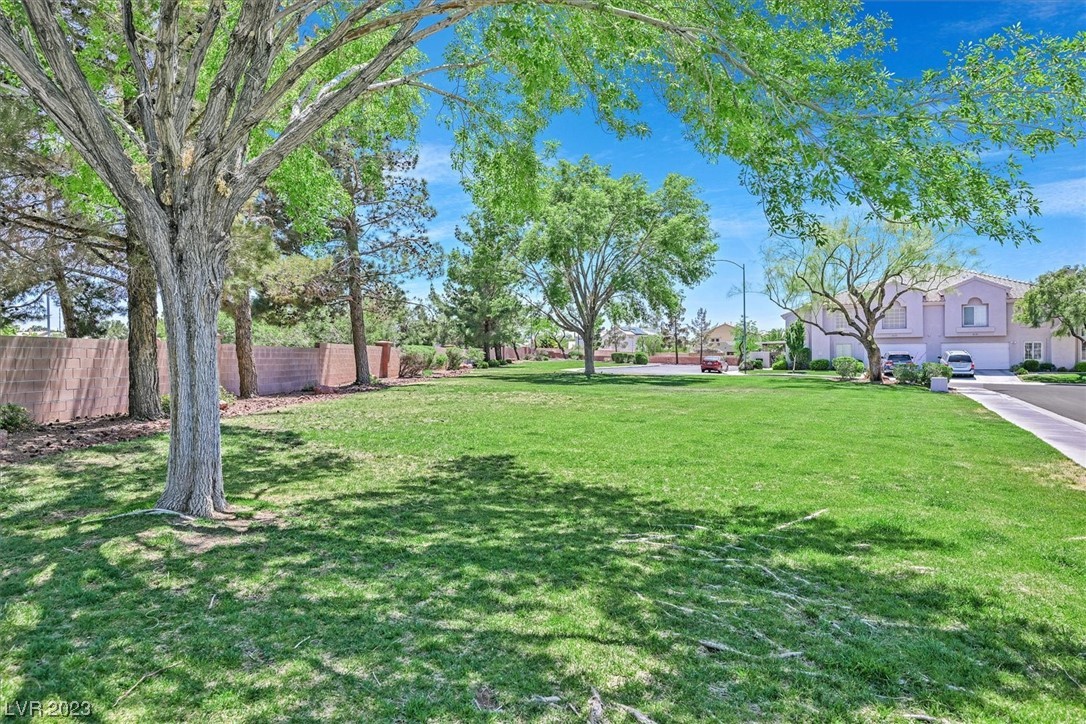 513 Rafkin Place Henderson, NV 89052 - Photo 25 of 25