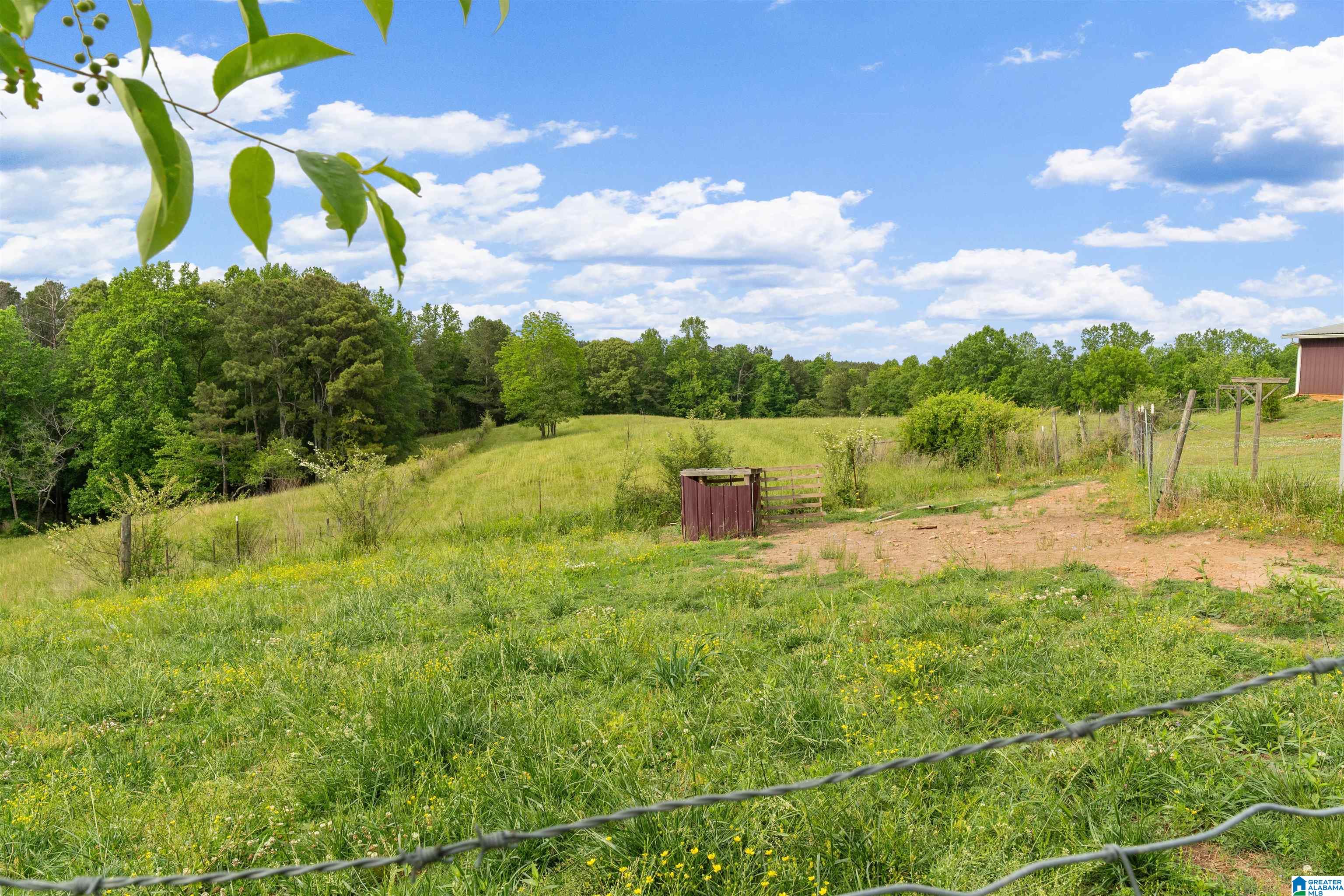 1435 County Road 633 Ranburne, AL 36273 - Photo 17 of 96