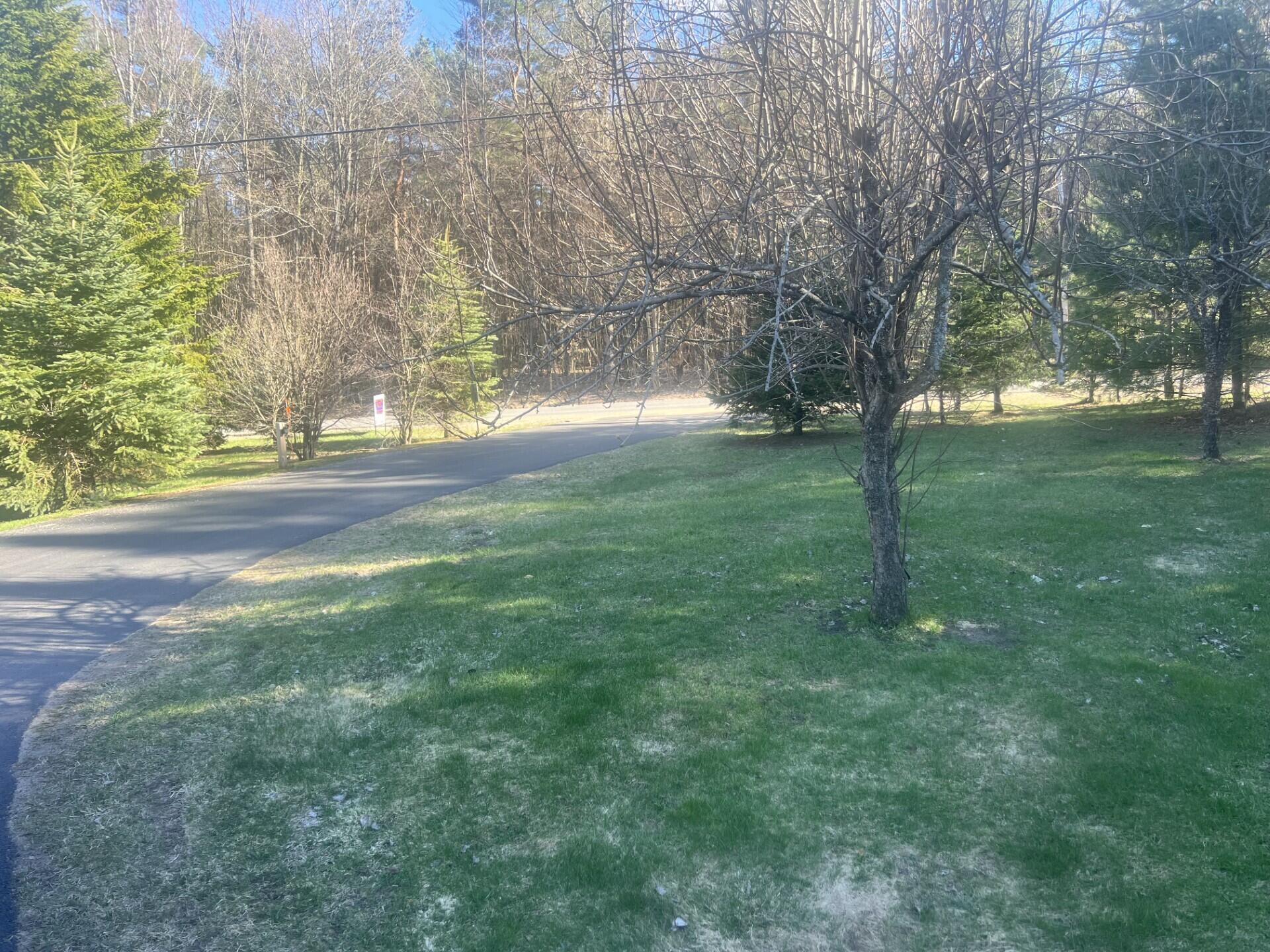 243 County Rte 14 St. Regis Falls, NY 12980 - Photo 16 of 55 Yard