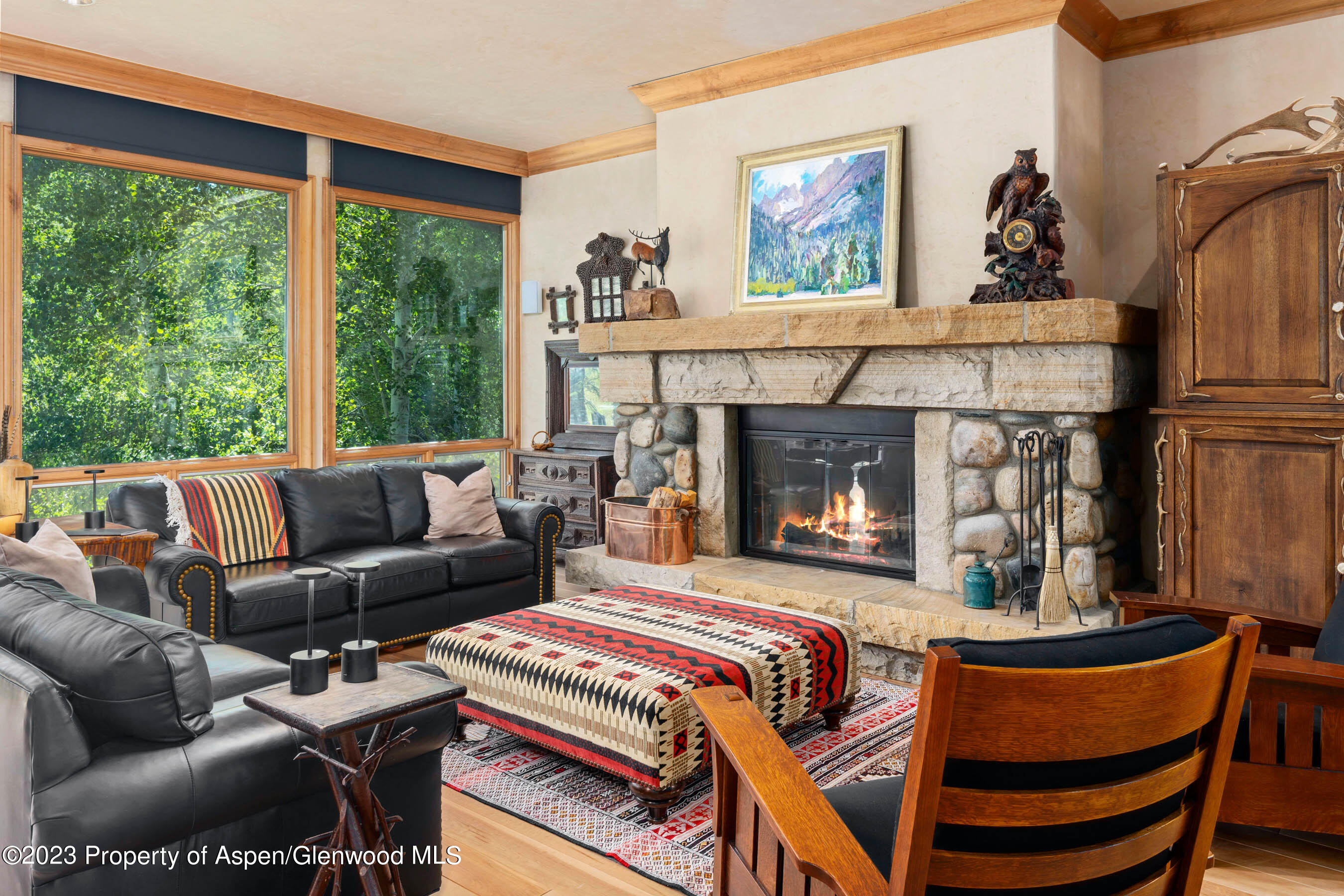 507 Streamside Court Snowmass Village, CO 81615 - Photo 30 of 30 Photo2