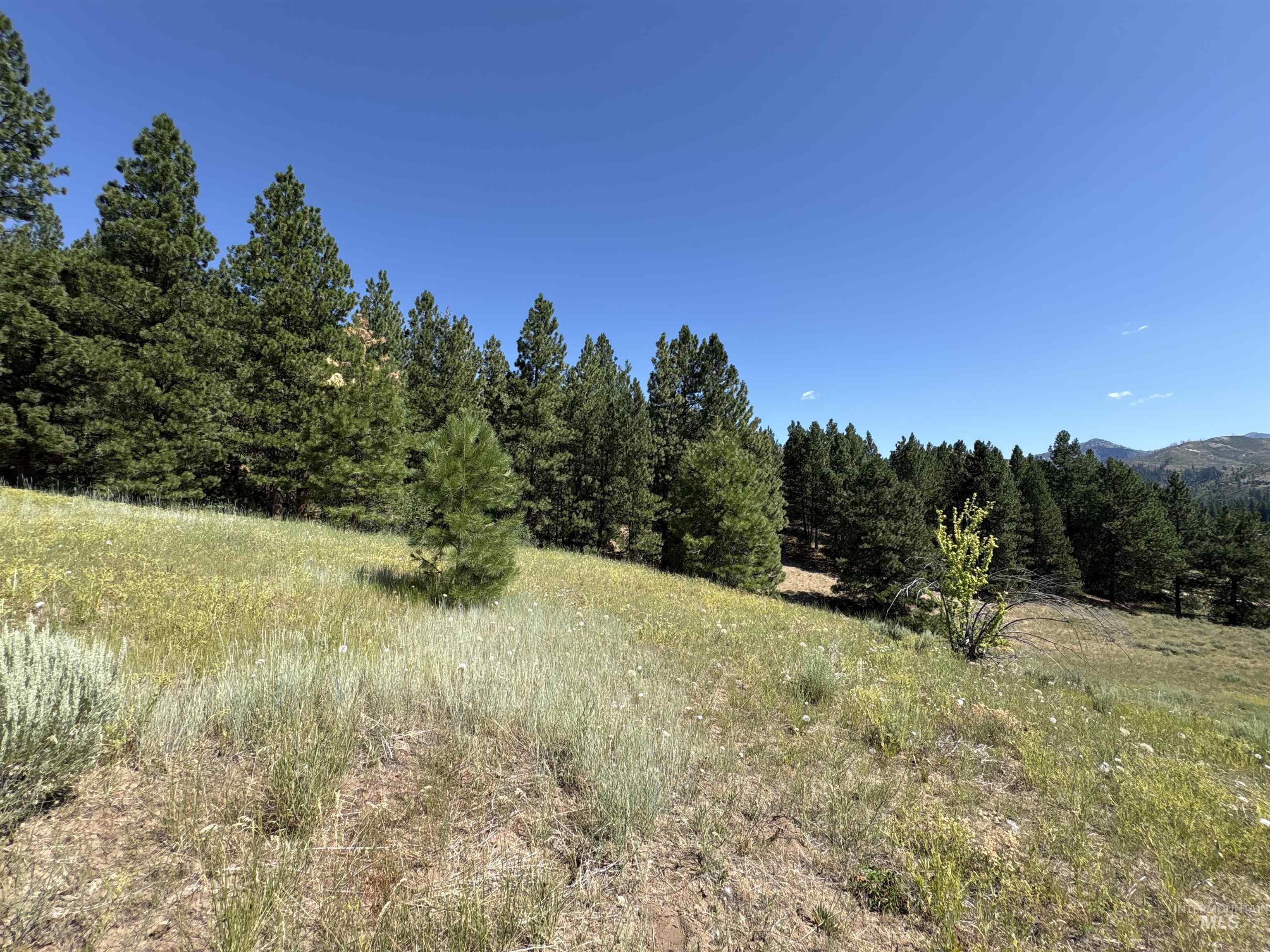 Tbd Smith Creek Road Mountain Home, ID 83647 - Photo 7 of 19