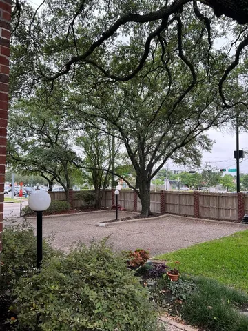 a view of a yard with large trees